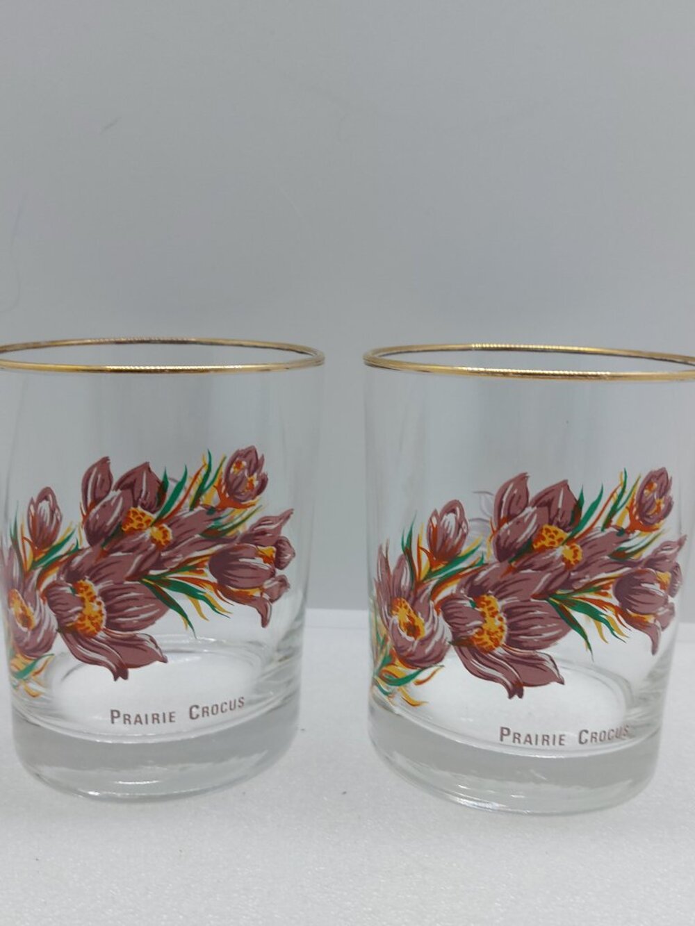 2 Vintage Drinking Glasses Prairie Crocus Flower Design